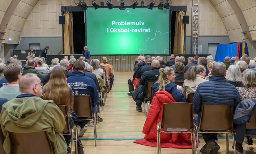 Danish authorities warn children under 10 not to walk alone due to wolves