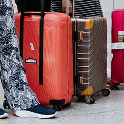 FM: Families with children should have priority on repatriation flights