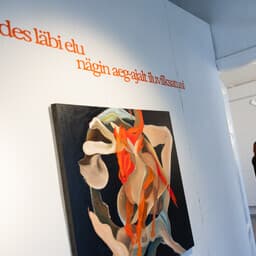 Gallery: Artist Rebeka Vaino opens new solo exhibiton in Tallinn