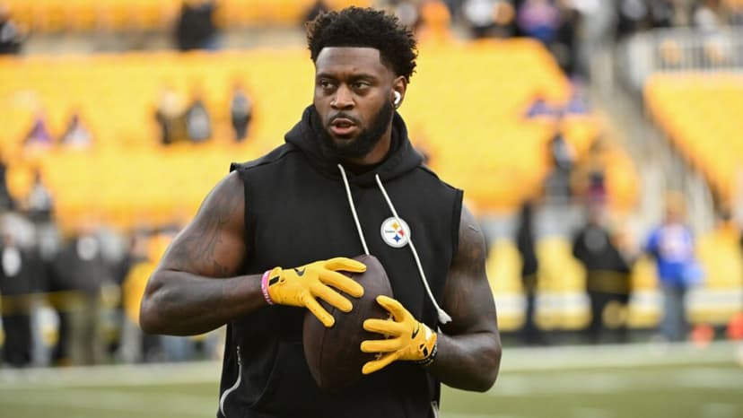 NFL Writer Suggests Steelers Cut Pro Bowl Defensive Player