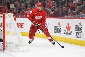 Pittsburgh Penguins trade for big winger from Detroit