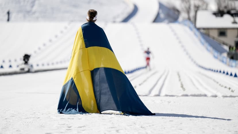 Swedish News Round-up: Citizenship, Stockholm Fire, Immigrant Benefits, Winter Olympics