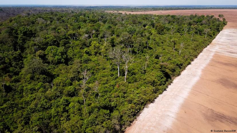 Brazil's Soy Industry Loosens Deforestation Protections in Amazon
