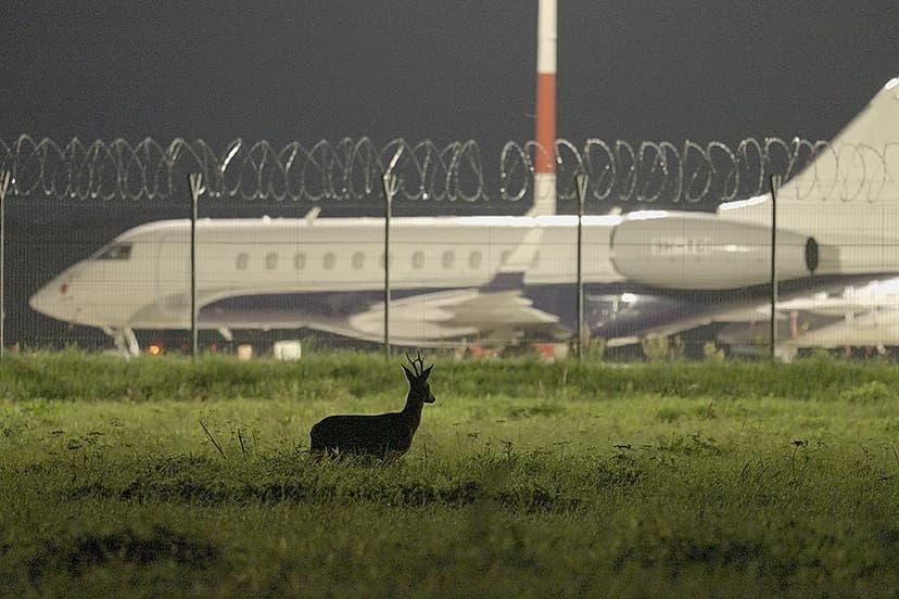 Latvian Film Screenings and Premieres, Including Laila Pakalniņa's 'Scarecrows'