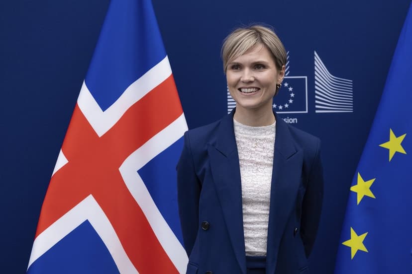 Iceland to Hold Referendum on Restarting EU Accession Talks