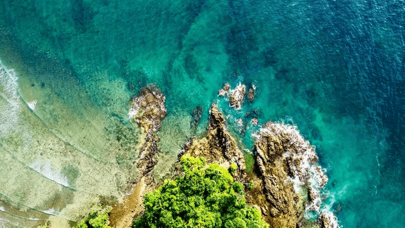 BJP Accuses Gandhis of Thwarting Nicobar Plan