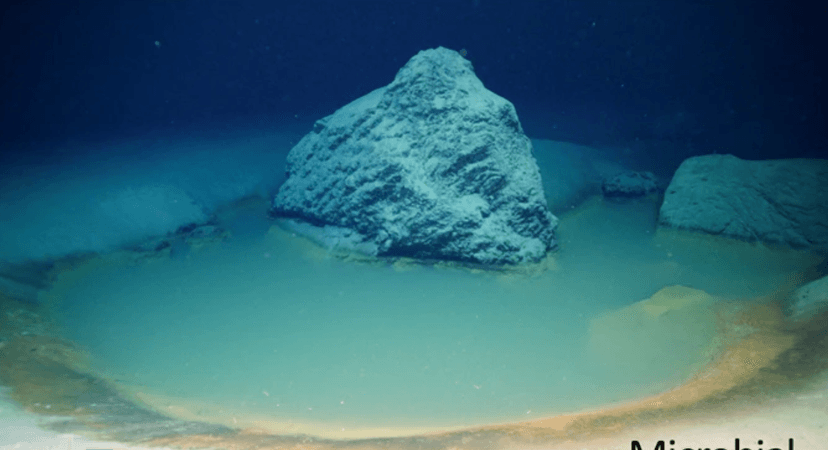 Toxic 'Ocean Within an Ocean' Discovered in Red Sea's Gulf of Aqaba
