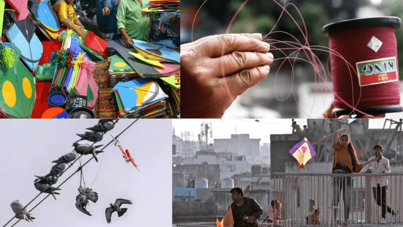 Deadly thread in the sky: Why Chinese manjha remains a killer