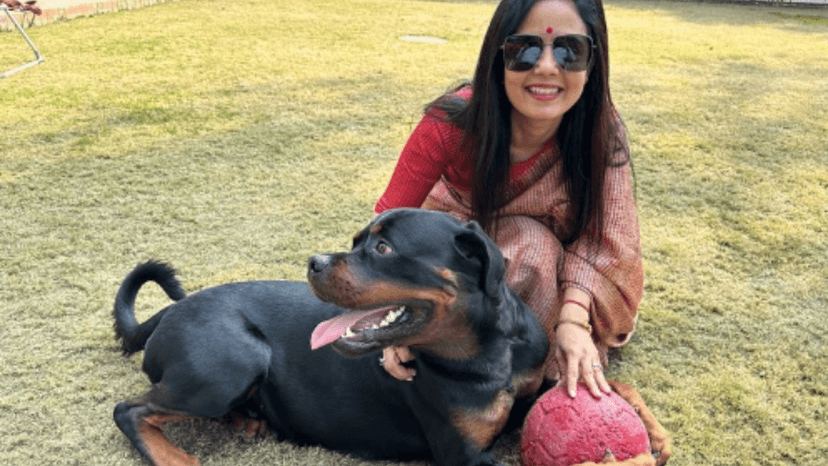 Mahua Moitra moves Delhi HC against ex-partner seeking custody of pet Rottweiler 'Henry'