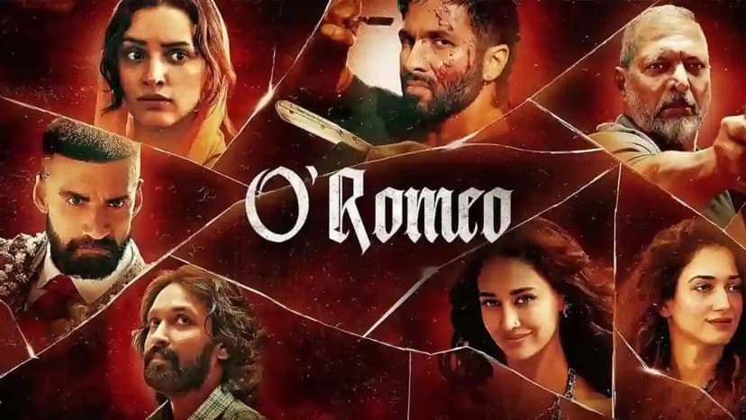Shahid Kapoor's 'O Romeo' Crosses Rs 52 Crore at Box Office