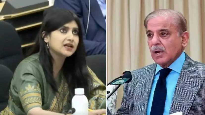 India Slams Pakistan at UN Over J&K, Demands Vacation of Occupied Areas