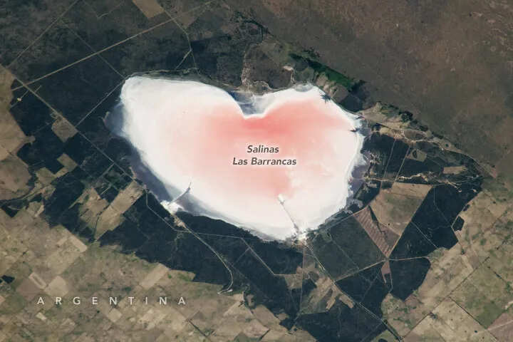 NASA Captures Image of Pink Heart-Shaped Lake in Argentina