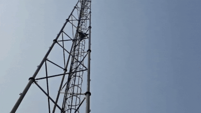 'Sholay' rerun: Girl climbs mobile tower in Bihar, demands lover’s release from police custody