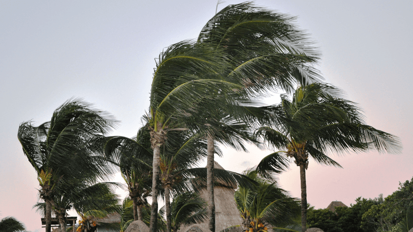 Saudi Arabia Issues Weather Alert for Rain and Strong Winds