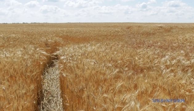 Ukraine Sells Over 356,000 Hectares of Agricultural Land in 2025