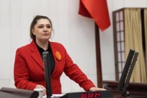 Lawmaker asks ministers about possible Epstein links to Turkey’s missing children