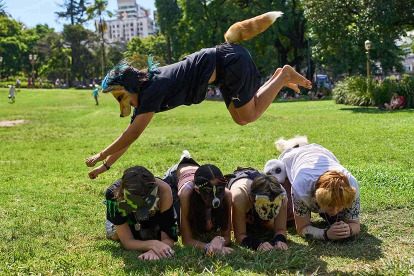 Therians Arrive in Costa Rica, Sparking Political Commentary