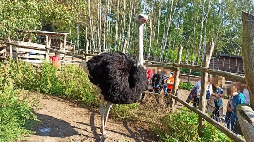 Oprawca strusia Zenka usłyszał wysoki wyrok, zabójca psa Nero jeszcze wyższy. To nadal nie górna granica