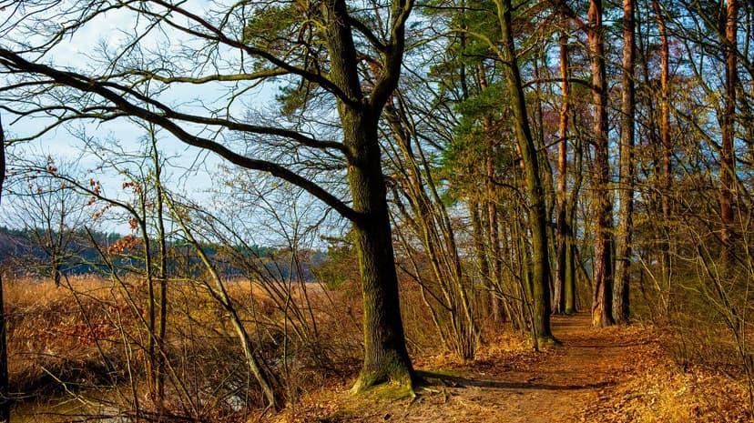 Poland to experience double-digit temperatures over weekend