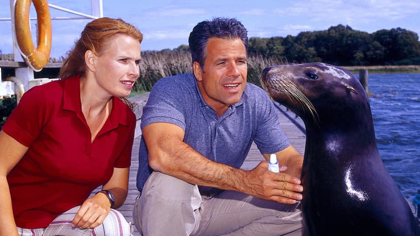 ZDF Studios Secures Major Drama Deal with Hungary's TV2 Group