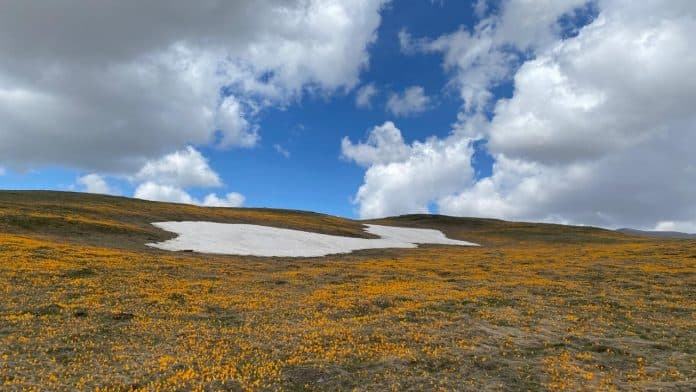 Weather Forecast for February 23, 2026 in Albania