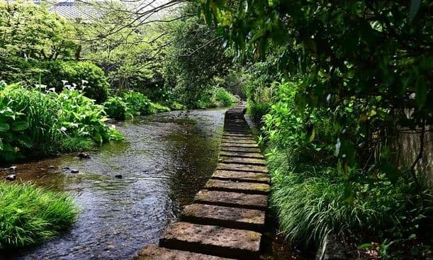 Mother arrested for abandoning child in mountain area in Japan
