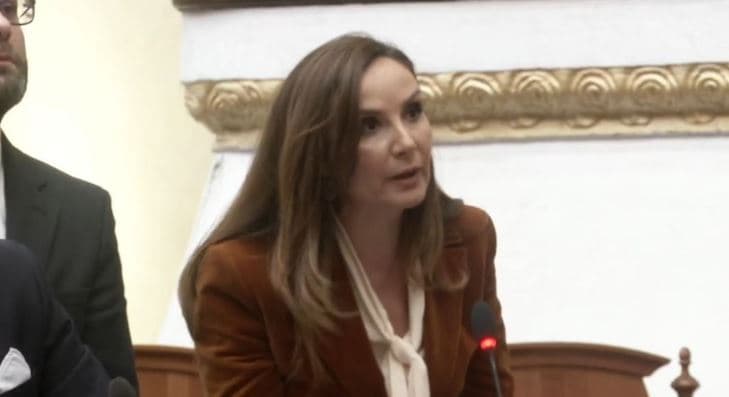 Albanian MP Jorida Tabaku Demands Action Against Insults in Parliament