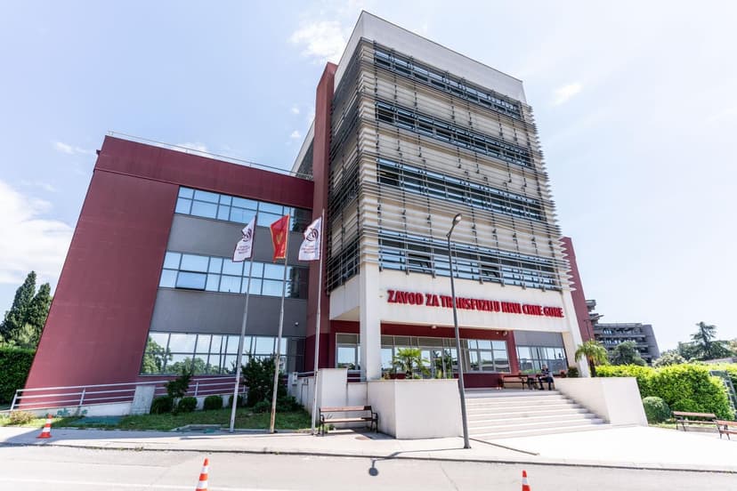 Montenegro Blood Transfusion Institute Denies Selling Donated Blood