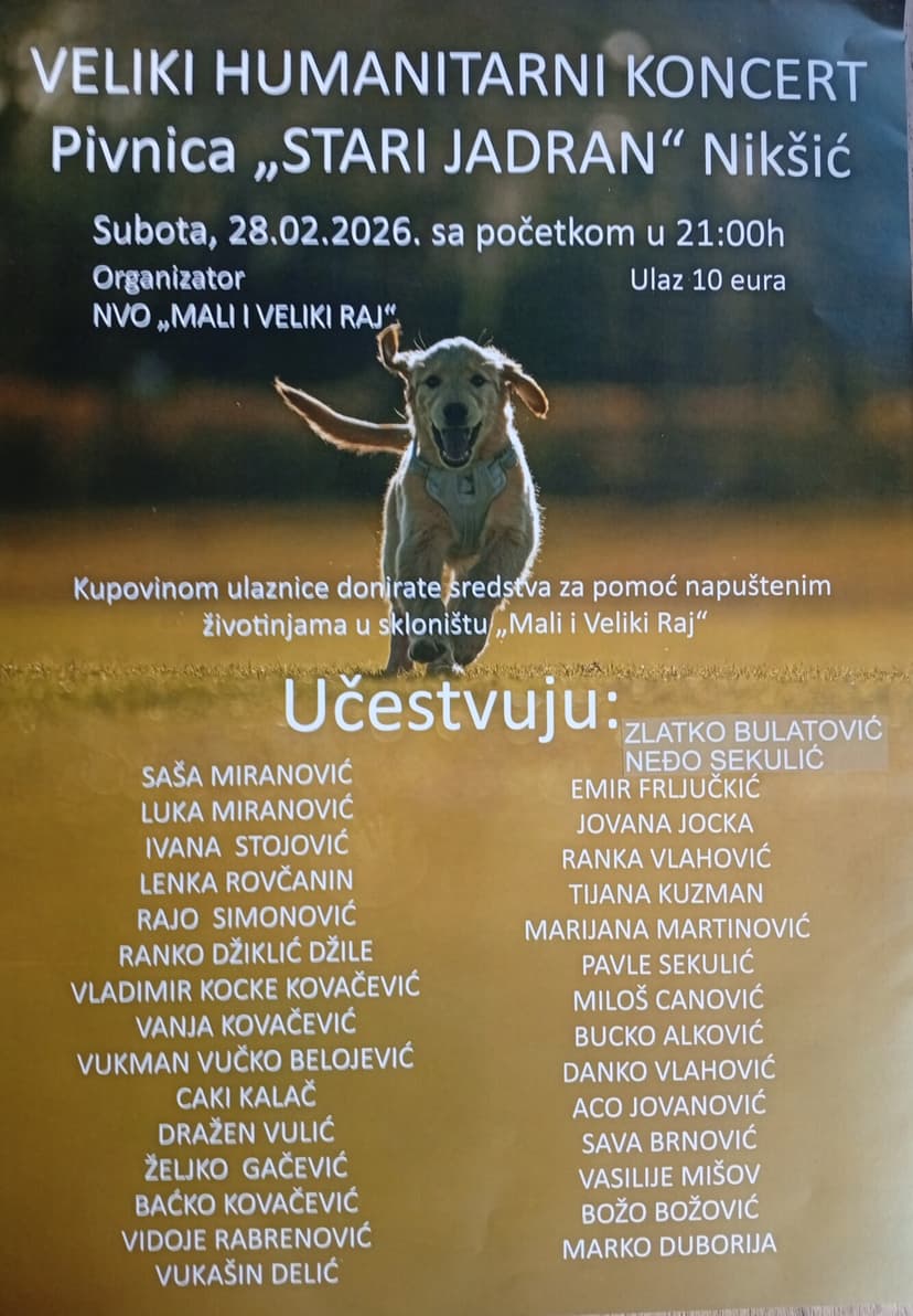 Humanitarian Concert in Nikšić to Support 'Mali i Veliki Raj' Shelter