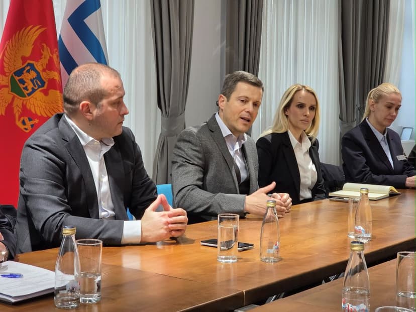 Montenegro's Capital City Implements Zero Tolerance for Animal Cruelty