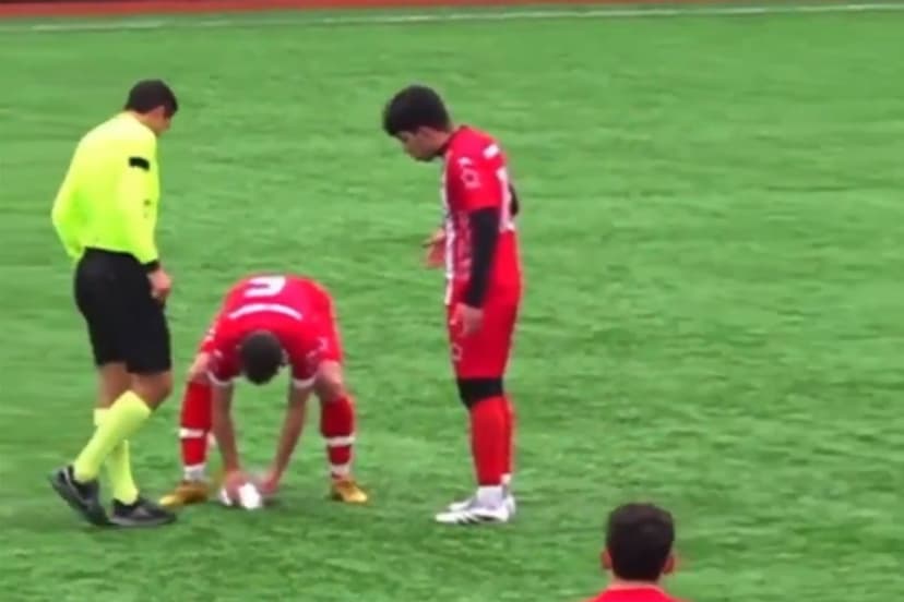 Fudbaler tokom utakmice oživio galeba kog je pogodila lopta