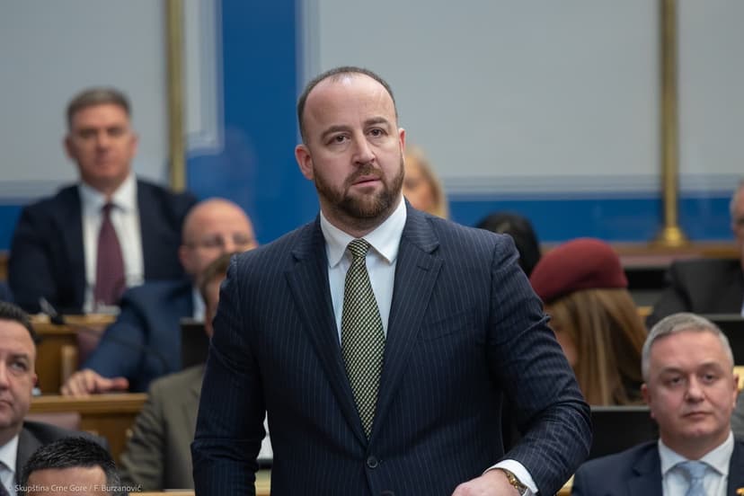 Montenegrin MP Nikolić seeks urgent EC response on security laws for electoral reform committee's future