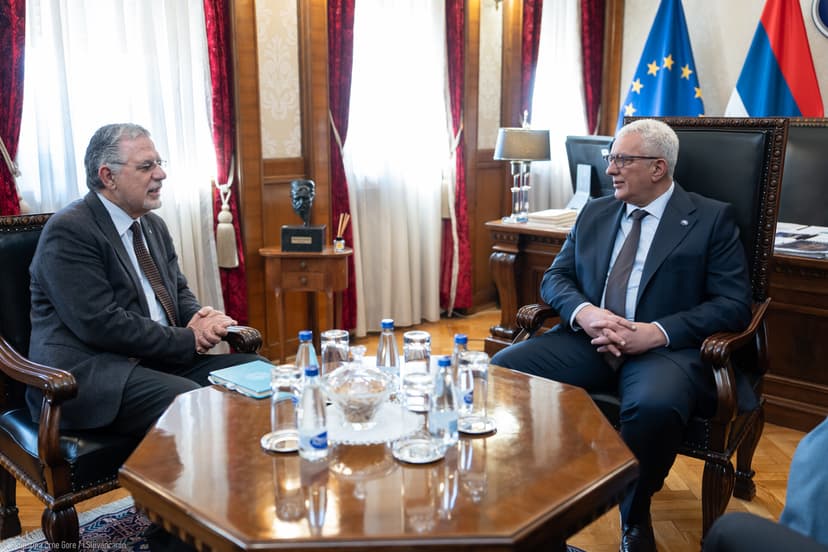 Montenegrin Parliament Speaker Mandić Meets PAM Secretary-General, Focus on Organized Crime