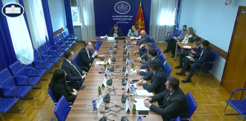 Kotor Assembly Committee Fails to Support Control Hearing on Mayoral Election