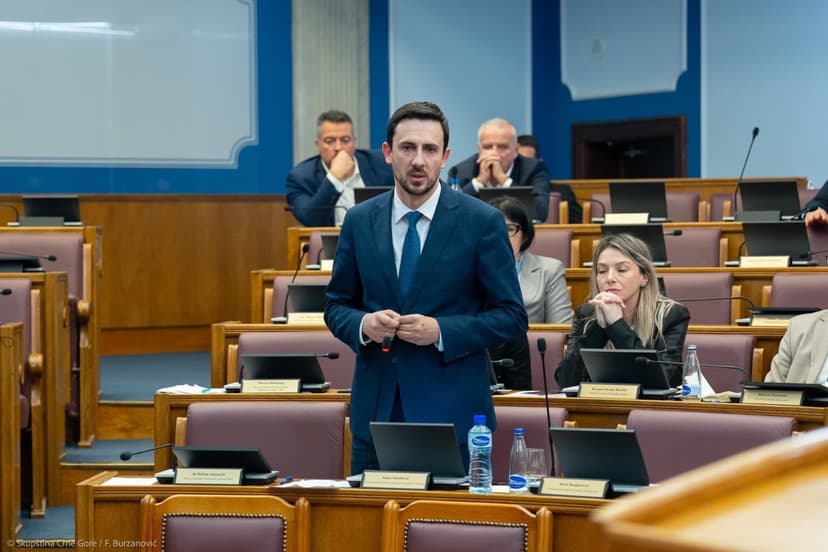 Smailović: Issue is Discrimination, Not Positions