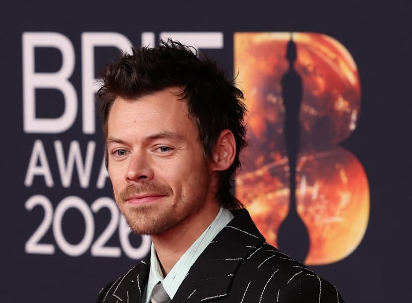 Hari Stajls: Slava otežava normalan život