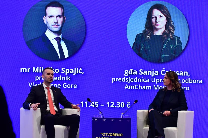 Montenegrin PM Spajić Urges Unity for EU Accession