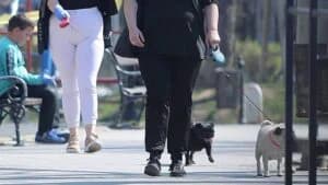 Serbia Faces Alarming Rise in Obesity