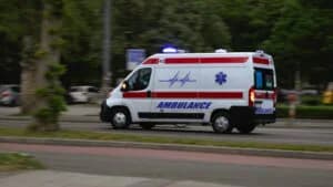 Woman attacked by pet dogs in Belgrade