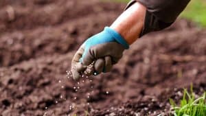 Cene đubriva mogle bi naglo da porastu kao posledica sukoba na Bliskom istoku