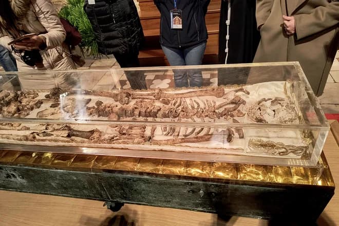 Remains of Saint Francis of Assisi Publicly Displayed After 800 Years