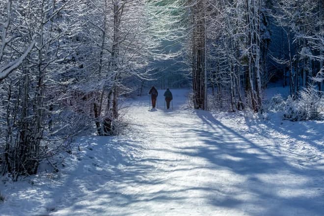 Sledder injures 72-year-old hiker in Tamar and flees
