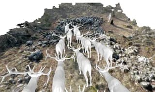 Sensational Discovery in Karst Region Draws Media Attention