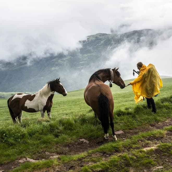 In Search of Wild Horses: All the Beauties of Hiking in Serbia