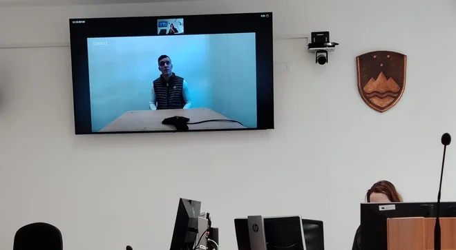 Man Pleads Guilty to Attempted Fratricide in Slovenia