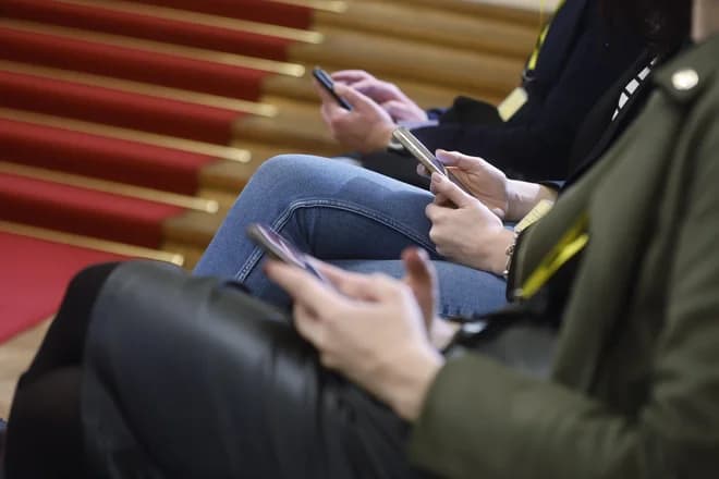 Slovenian Politics and Society: A Collection of Commentaries