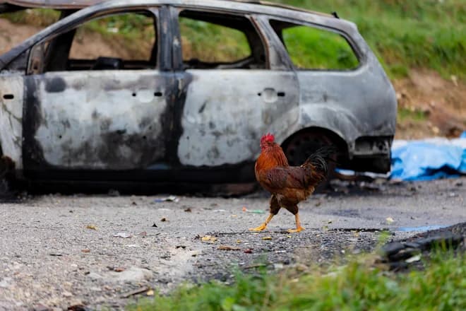 Rubež socialne pomoči za globe deli politiko in javnost