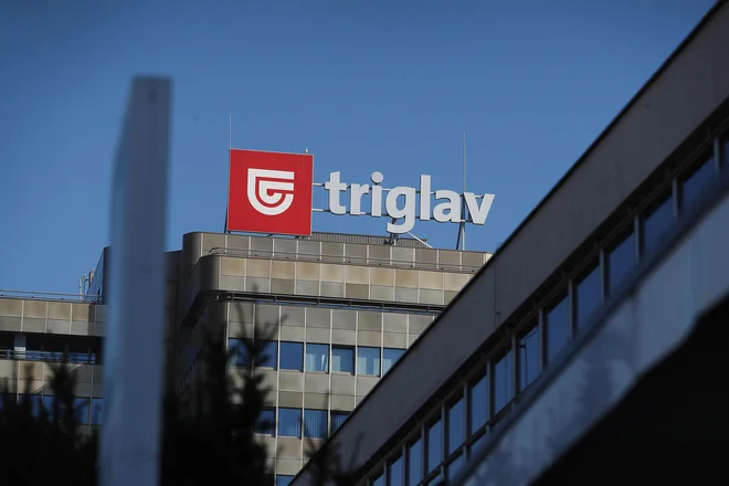 Triglav Insurance Reports Premium Jump and Moderate Profit Growth