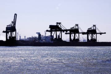 Half of Dutch Exporters Report Negative Impact from US Trade Policy