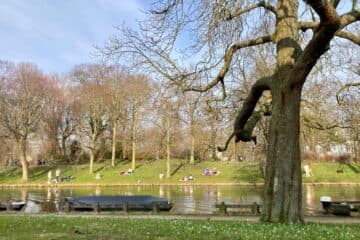 Mild Weather Continues in Netherlands, Saharan Sand Expected